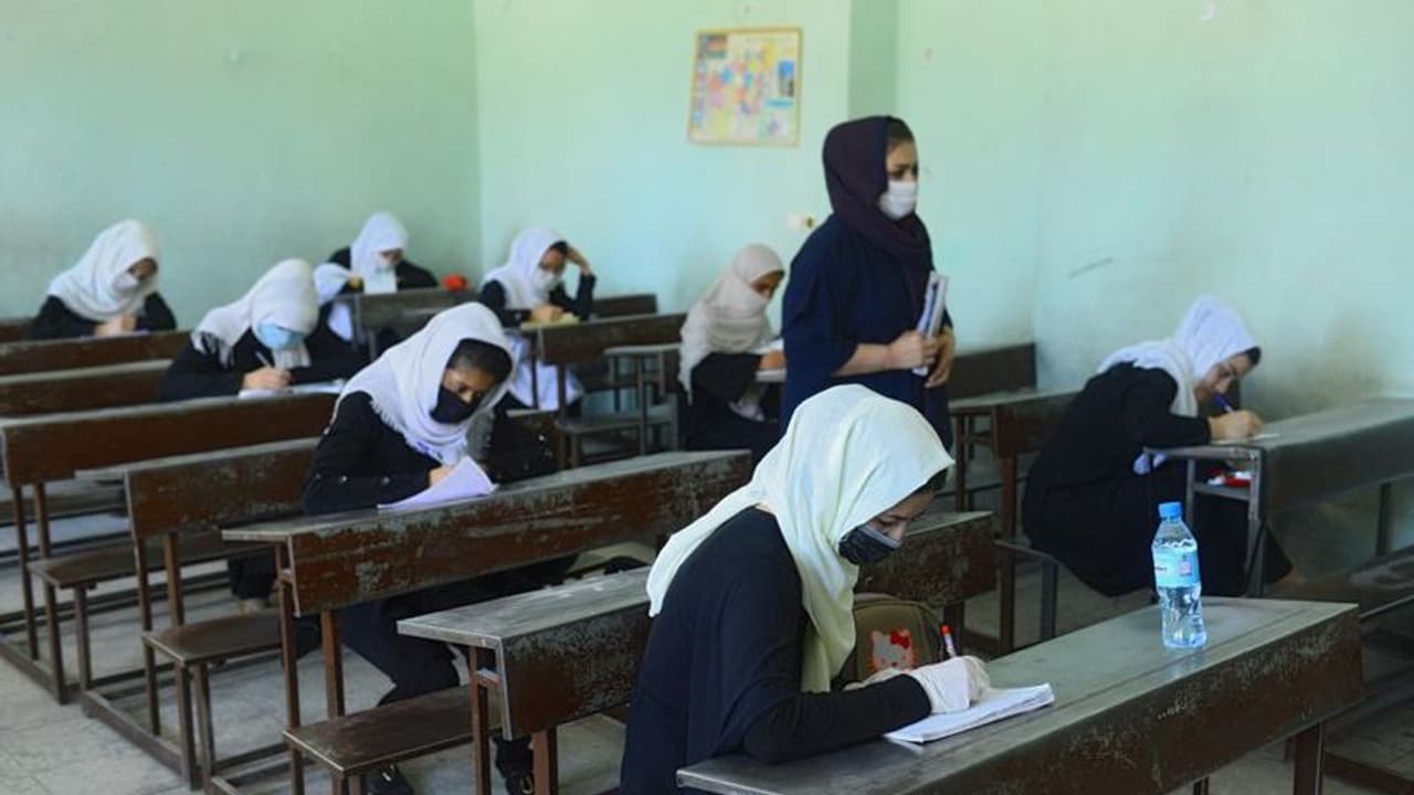 Taliban denies acknowledging graduates of 2000 2020, High Education Minister Haqqani says ‘are of no use’