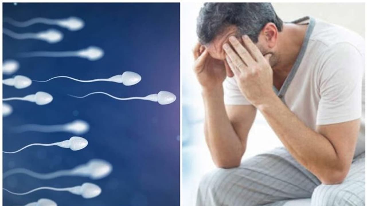 ശുക്ലത്തിന്റെ അളവും ബീജത്തിന്റെ ഗുണവും തമ്മിൽ എന്തുബന്ധം? ശുക്ലത്തിന്റെ അളവും ബീജത്തിന്റെ ഗുണവും തമ്മിൽ എന്തുബന്ധം?