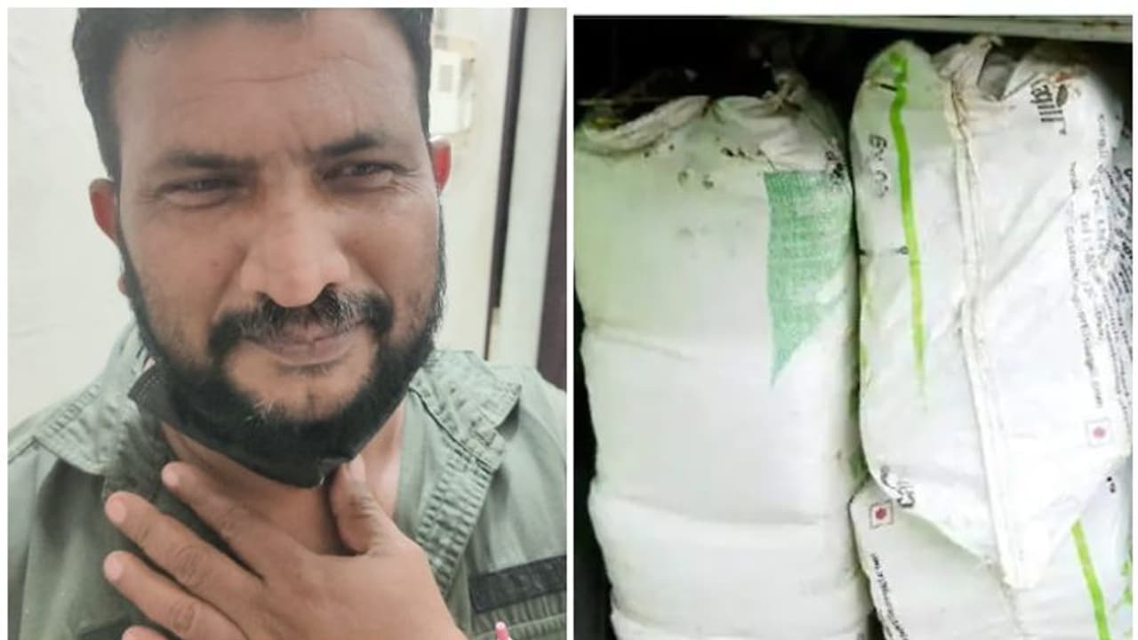 ഇതര സംസ്ഥാന തൊഴിലാളികളെ എത്തിച്ച ബസ്സിൽ കഞ്ചാവ് കടത്തിയ സംഭവം; മുഖ്യപ്രതി കീഴടങ്ങി ഇതര സംസ്ഥാന തൊഴിലാളികളെ എത്തിച്ച ബസ്സിൽ കഞ്ചാവ് കടത്തിയ സംഭവം; മുഖ്യപ്രതി കീഴടങ്ങി