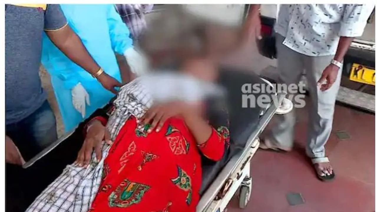 തൃക്കുന്നപ്പുഴയിൽ ആരോഗ്യ പ്രവർത്തകയെ തട്ടികൊണ്ടു പോകാൻ ശ്രമിച്ച സംഭവം; മനുഷ്യാവകാശ കമ്മീഷൻ കേസെടുത്തു തൃക്കുന്നപ്പുഴയിൽ ആരോഗ്യ പ്രവർത്തകയെ തട്ടികൊണ്ടു പോകാൻ ശ്രമിച്ച സംഭവം; മനുഷ്യാവകാശ കമ്മീഷൻ കേസെടുത്തു