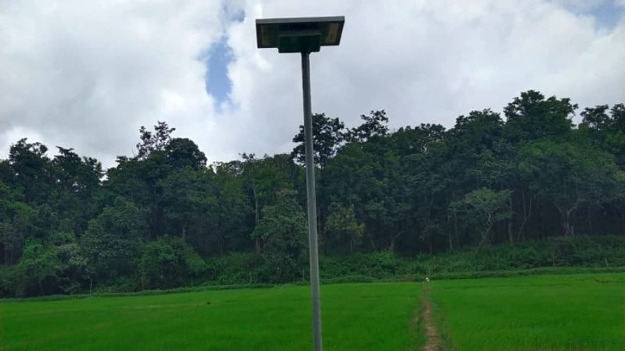 വന്യമൃഗങ്ങളെ തുരത്താൻ ഒഡീഷ മോഡൽ; ആദ്യ പരീക്ഷണം വയനാട്ടിൽ വന്യമൃഗങ്ങളെ തുരത്താൻ ഒഡീഷ മോഡൽ; ആദ്യ പരീക്ഷണം വയനാട്ടിൽ