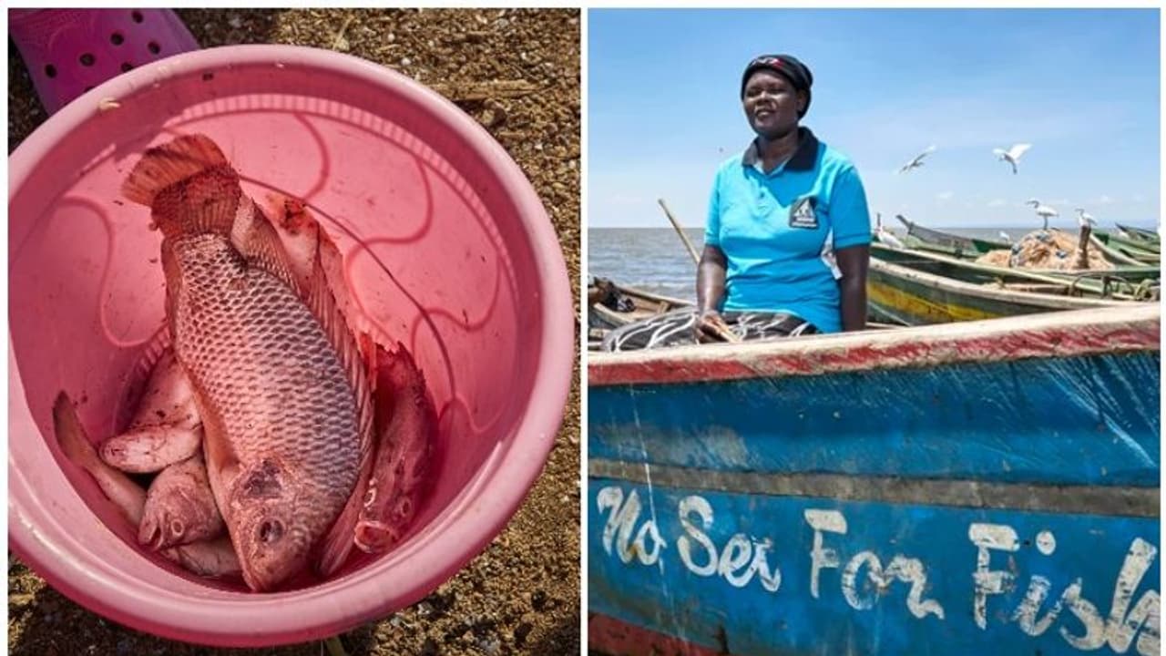 'മീനിന് പകരം സെക്സ്'; അതിനി നടപ്പില്ലെന്ന് ഈ യുവതികൾ 'മീനിന് പകരം സെക്സ്'; അതിനി നടപ്പില്ലെന്ന് ഈ യുവതികൾ