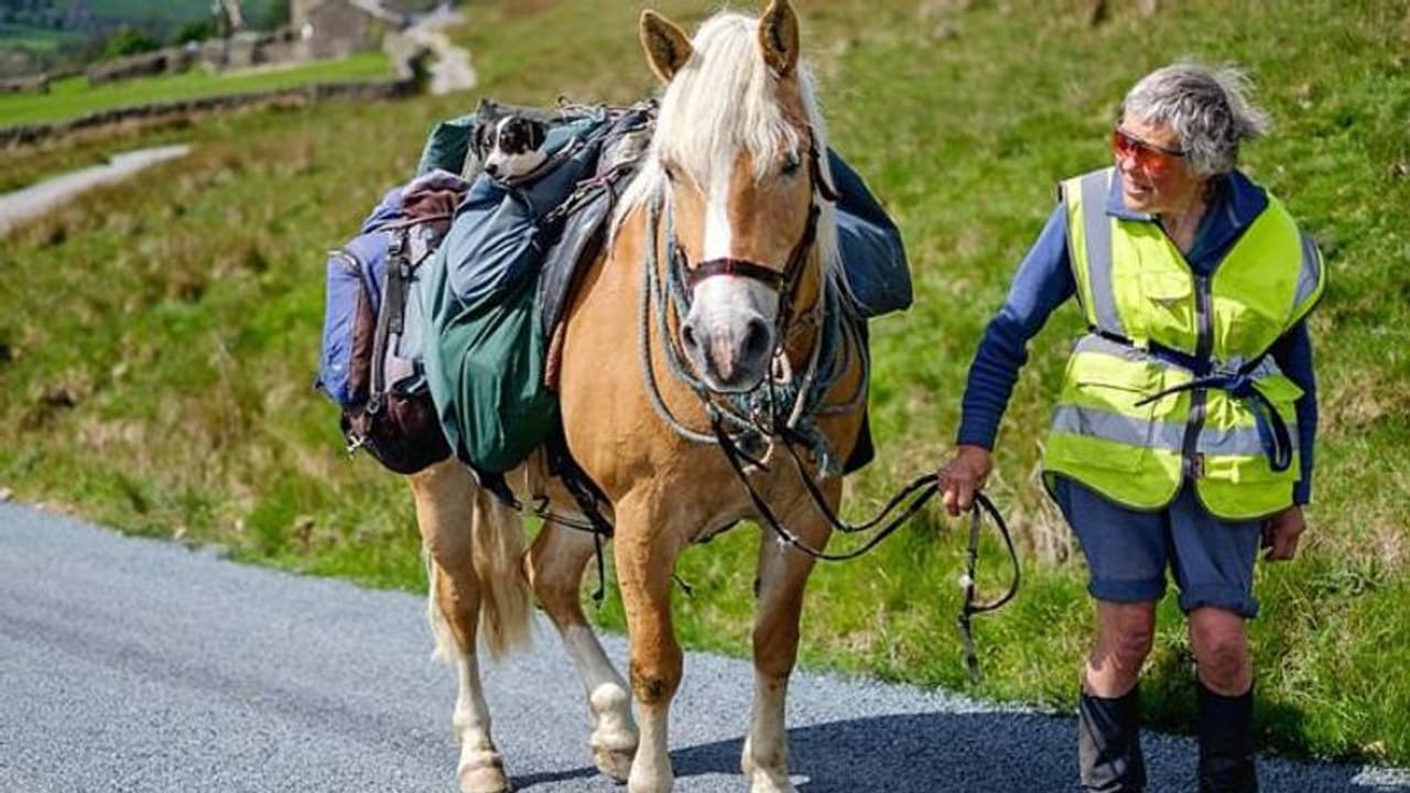 വയസ് 80, കുതിരപ്പുറത്തേറി, പ്രിയപ്പെട്ട പട്ടിയുമായി സ്ത്രീ ഓരോ വർഷവും സഞ്ചരിക്കുന്നത് 1000 കിലോമീറ്ററോളം വയസ് 80, കുതിരപ്പുറത്തേറി, പ്രിയപ്പെട്ട പട്ടിയുമായി സ്ത്രീ ഓരോ വർഷവും സഞ്ചരിക്കുന്നത് 1000 കിലോമീറ്ററോളം