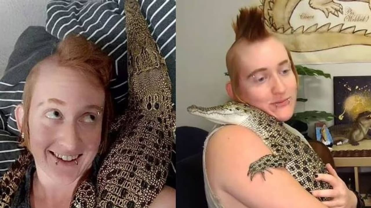 വീട്ടിൽ 'പെറ്റ്' ആയി വളർത്തുന്നത് മുതലയെ, കെട്ടിപ്പിടിച്ചും ചുംബിച്ചും ഒരുമിച്ചിരുന്ന് ആഹാരം കഴിച്ചും ഉടമ വീട്ടിൽ 'പെറ്റ്' ആയി വളർത്തുന്നത് മുതലയെ, കെട്ടിപ്പിടിച്ചും ചുംബിച്ചും ഒരുമിച്ചിരുന്ന് ആഹാരം കഴിച്ചും ഉടമ