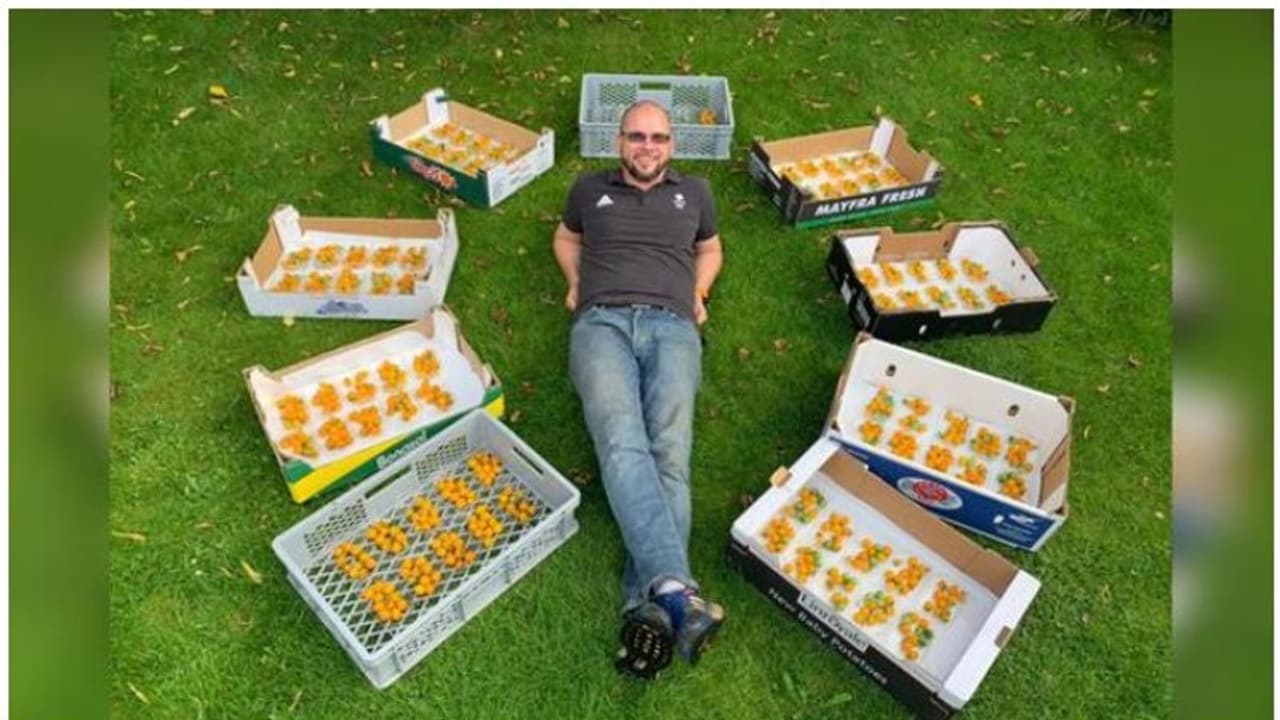 ഒറ്റ തണ്ടില് 839 തക്കാളികള്, ലോക റെക്കോഡിനായി ഒരു ഐടി ഉദ്യോഗസ്ഥൻ ഒറ്റ തണ്ടില് 839 തക്കാളികള്, ലോക റെക്കോഡിനായി ഒരു ഐടി ഉദ്യോഗസ്ഥൻ