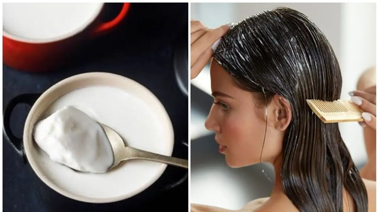 മുടി കൊഴിച്ചിൽ തടയാൻ തെെര് കൊണ്ടുള്ള രണ്ട് തരം ഹെയർ പാക്കുകൾ മുടി കൊഴിച്ചിൽ തടയാൻ തെെര് കൊണ്ടുള്ള രണ്ട് തരം ഹെയർ പാക്കുകൾ