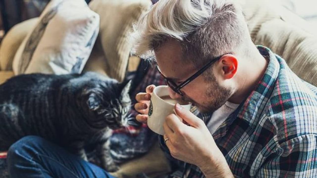 New study finds Covid 19 variant in cats and dogs, but do not distance your pet just yet