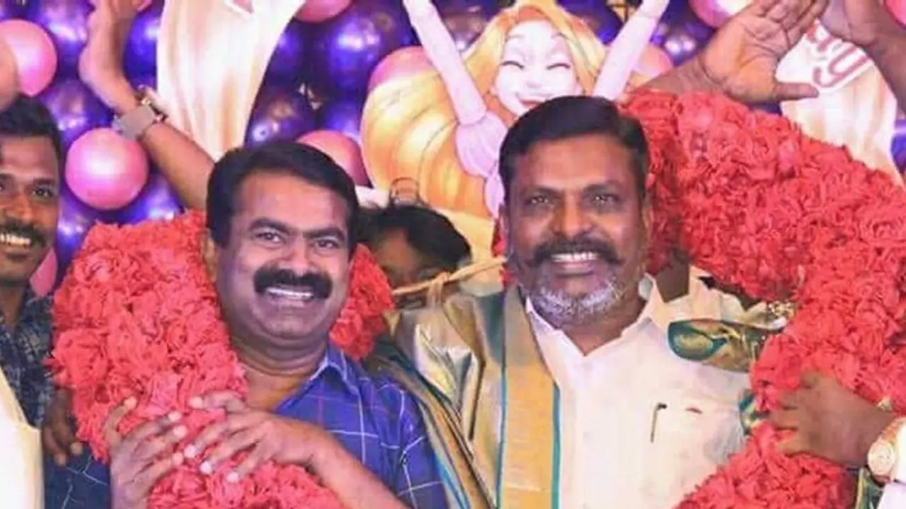 என் தம்பி டா...! சீமானுக்கு ஓங்கி குரல் கொடுத்த திருமாவளவன்.. கொக்கரிக்கும் நாம் தமிழர் தம்பிகள்.