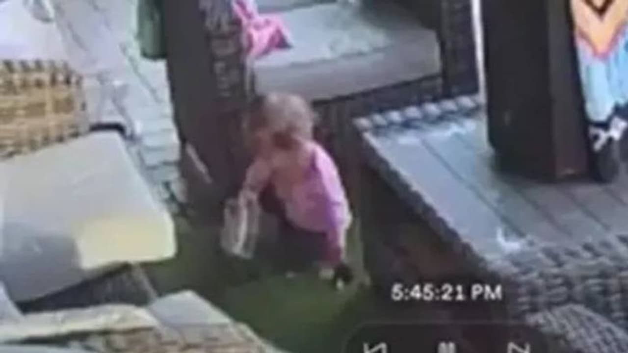 കൂറ്റന്‍ ചിലന്തിയോടൊപ്പം കളിക്കുന്ന മകള്‍; പേടിച്ചരണ്ട് പിതാവ്; വീഡിയോ