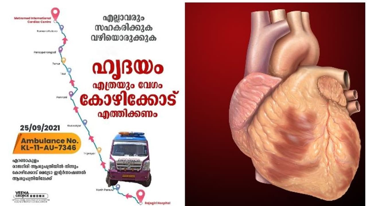 'എല്ലാവരും വഴിയൊരുക്കണം'; ജീവന്റെ തുടിപ്പുമായി കൊച്ചിയില്നിന്ന് കോഴിക്കോട്ടേക്ക് ആംബുലന്സ് പുറപ്പെട്ടു 'എല്ലാവരും വഴിയൊരുക്കണം'; ജീവന്റെ തുടിപ്പുമായി കൊച്ചിയില്നിന്ന് കോഴിക്കോട്ടേക്ക് ആംബുലന്സ് പുറപ്പെട്ടു
