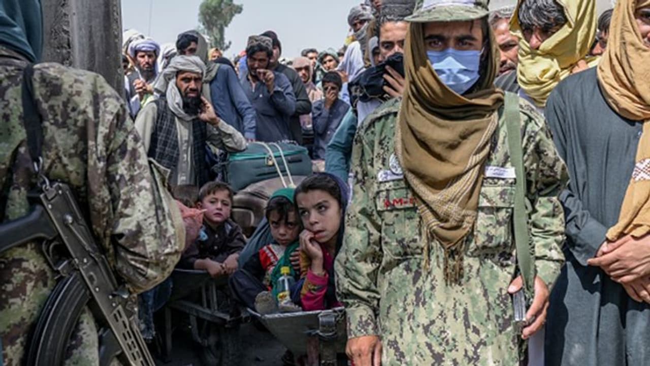 'Lesson for kidnappers': Taliban hang 4 bodies from cranes in Afghan city's Herat