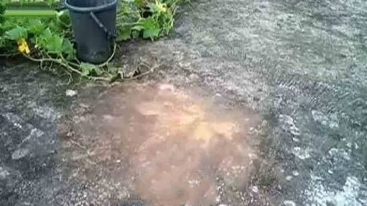 নির্বাচনের আগে পরপর বোমাবাজিতে উত্তপ্ত সামশেরগঞ্জ, মোতায়েন রয়েছে পুলিশ নির্বাচনের আগে পরপর বোমাবাজিতে উত্তপ্ত সামশেরগঞ্জ, মোতায়েন রয়েছে পুলিশ