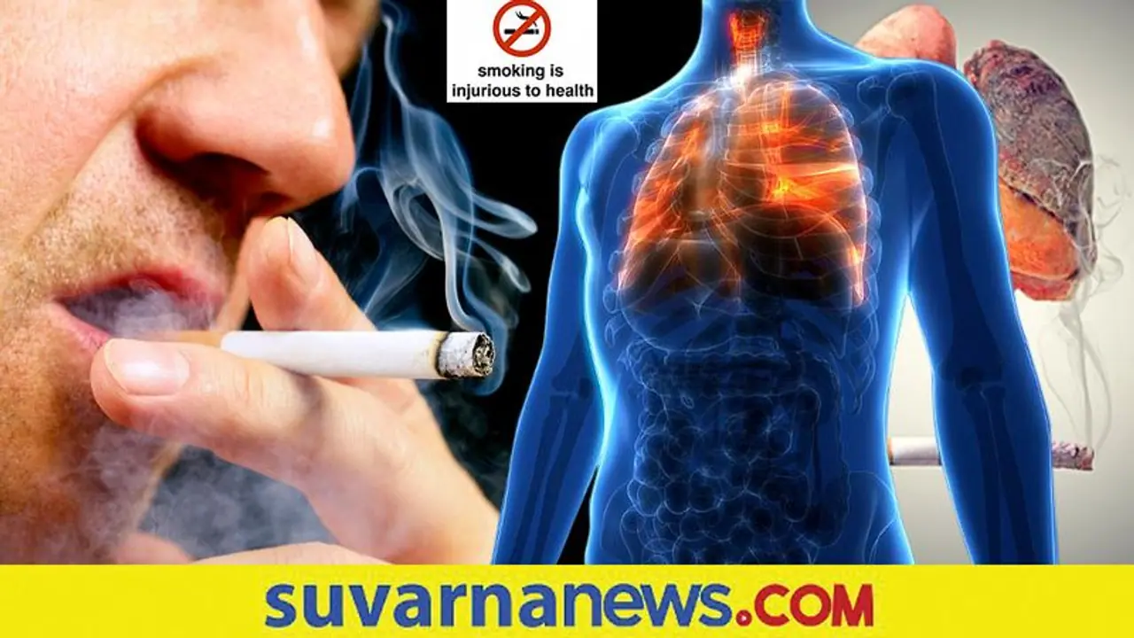 ನಿಮ್ಮ ಶ್ವಾಸಕೋಶವನ್ನು ಹೇಗೆಲ್ಲಾ ಹಾಳು ಹಾಳು ಮಾಡಿಕೊಳ್ತಿದೀರಿ, ನಿಮಗೆ ಗೊತ್ತೇ? ನಿಮ್ಮ ಶ್ವಾಸಕೋಶವನ್ನು ಹೇಗೆಲ್ಲಾ ಹಾಳು ಹಾಳು ಮಾಡಿಕೊಳ್ತಿದೀರಿ, ನಿಮಗೆ ಗೊತ್ತೇ?