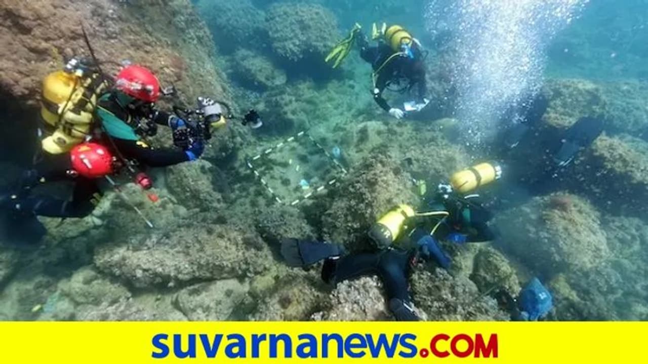 ಸಮುದ್ರದಾಳದ ಕಸ ಸ್ವಚ್ಛಗೊಳಿಸುತ್ತಿದ್ದವರ ಕೈ ಸೇರಿತು ಚಿನ್ನದ ನಾಣ್ಯಗಳ ಖಜಾನೆ! ಸಮುದ್ರದಾಳದ ಕಸ ಸ್ವಚ್ಛಗೊಳಿಸುತ್ತಿದ್ದವರ ಕೈ ಸೇರಿತು ಚಿನ್ನದ ನಾಣ್ಯಗಳ ಖಜಾನೆ!