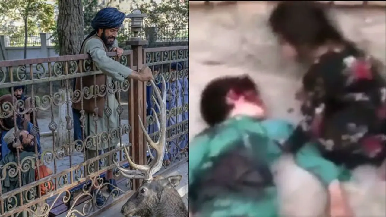 ವಿರೋಧಿಗಳ ಜೊತೆ ಸೇರಿದ ತಂದೆ: ಕಂದನ ಕರುಣೆ ಇಲ್ಲದೆ ಕೊಂದ ತಾಲಿಬಾನಿಯರು! ವಿರೋಧಿಗಳ ಜೊತೆ ಸೇರಿದ ತಂದೆ: ಕಂದನ ಕರುಣೆ ಇಲ್ಲದೆ ಕೊಂದ ತಾಲಿಬಾನಿಯರು!