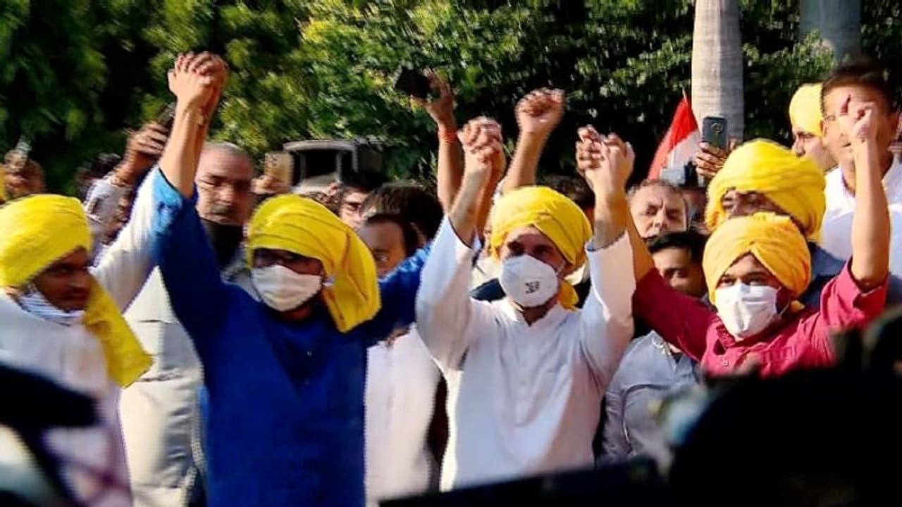 കനയ്യയും ജിഗ്നേഷ് മേവാനിയും കോൺഗ്രസിൽ: വരവേറ്റ് രാഹുൽ ഗാന്ധി കനയ്യയും ജിഗ്നേഷ് മേവാനിയും കോൺഗ്രസിൽ: വരവേറ്റ് രാഹുൽ ഗാന്ധി