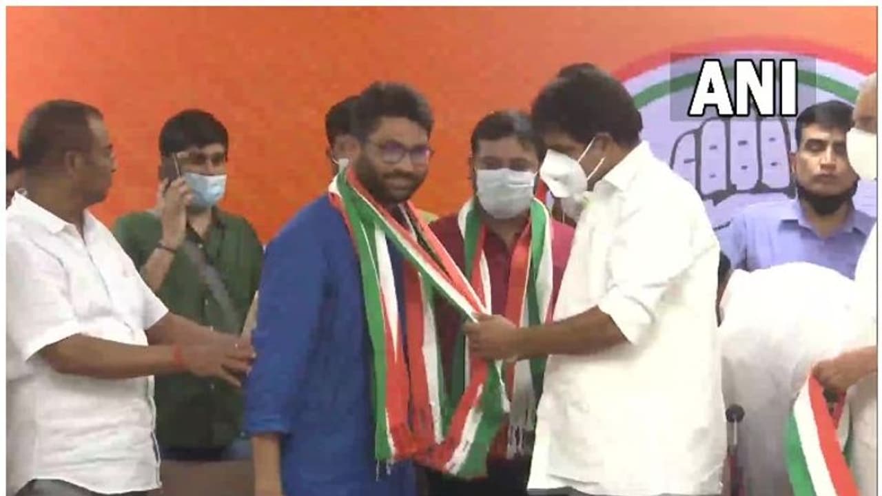 ബിജെപിയെ തൂത്തെറിയും; കോൺഗ്രസിനേ രാജ്യത്തെ രക്ഷിക്കാനാകൂ എന്നും ജിഗ്നേഷ് മേവാനി ബിജെപിയെ തൂത്തെറിയും; കോൺഗ്രസിനേ രാജ്യത്തെ രക്ഷിക്കാനാകൂ എന്നും ജിഗ്നേഷ് മേവാനി