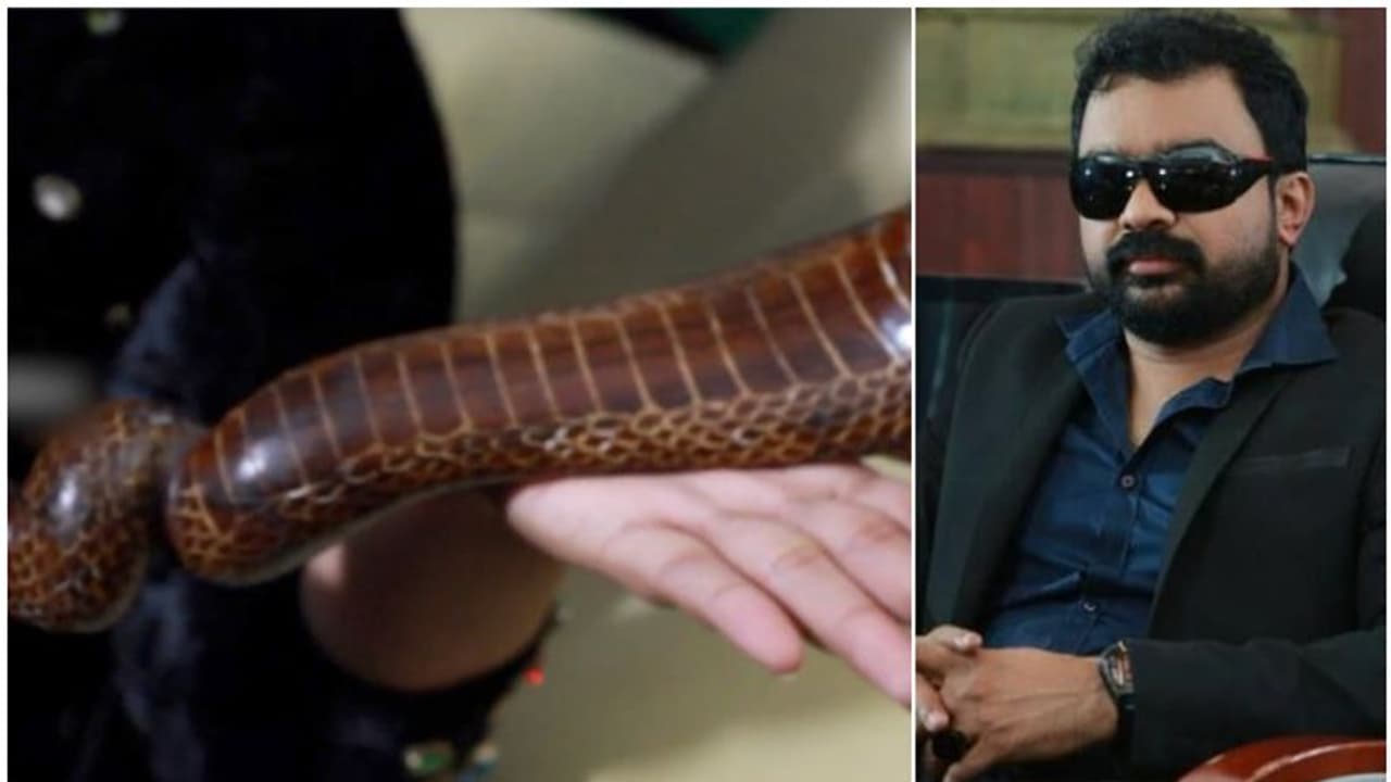 '4 കോടി ഹൈദരാബാദിൽ എത്തിക്കാൻ സഹായിക്കണം, കേസ് കൊടുത്തയാളെ വിരട്ടണം'; മോൻസന്റെ ഫോൺ കോൾ പുറത്ത്