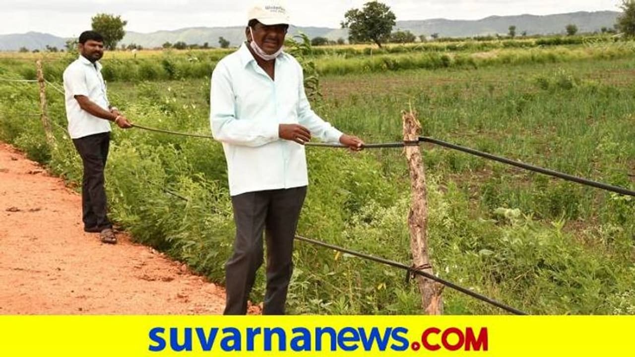 ಗದಗ: ಹನಿ ನೀರಾವರಿ ಪೈಪ್ಗಳೀಗ ರೈತರ ಹೊಲಕ್ಕೆ ಬೇಲಿ..! ಗದಗ: ಹನಿ ನೀರಾವರಿ ಪೈಪ್ಗಳೀಗ ರೈತರ ಹೊಲಕ್ಕೆ ಬೇಲಿ..!