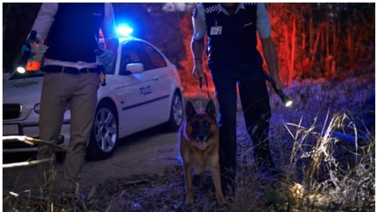 ತನ್ನ ಹುಡುಕುವ ಕಾರ್ಯಾಚರಣೆಯಲ್ಲಿ ತಾನೇ ತೊಡಗಿಕೊಂಡ ಕುಡುಕ!