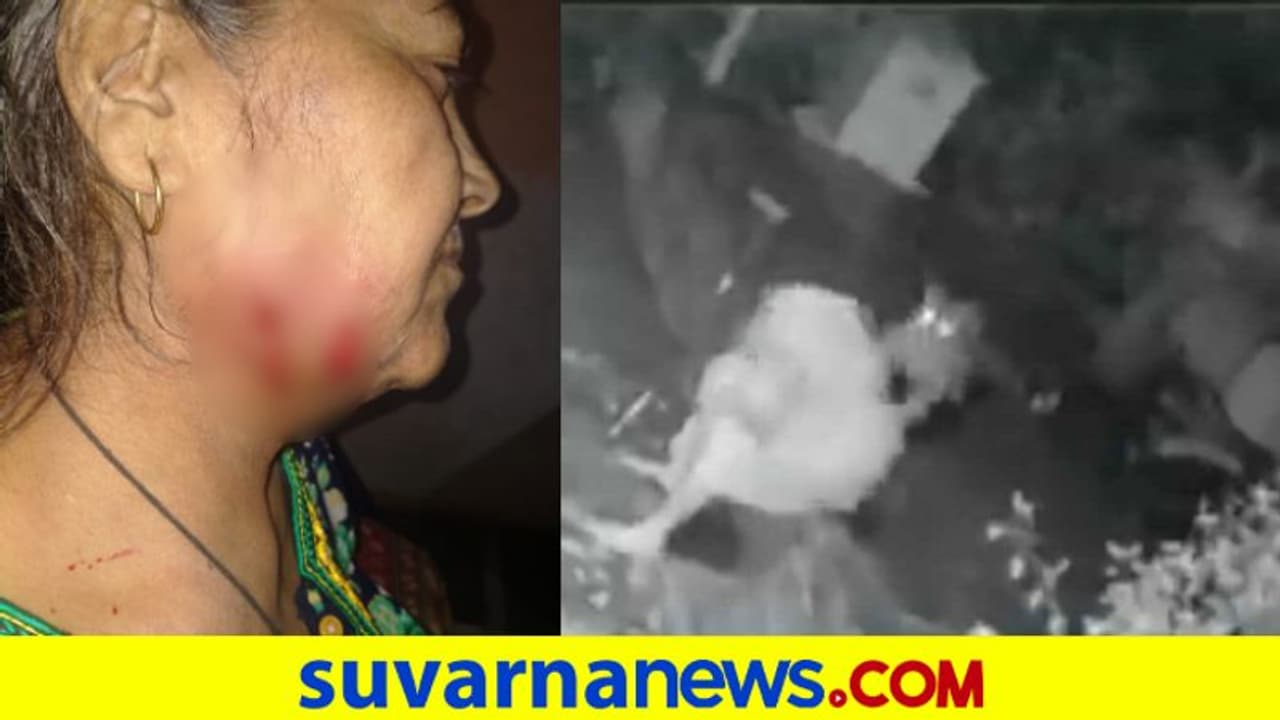 ದಾಳಿ ನಡೆಸಿದ ಚಿರತೆಯನ್ನು ವಾಕಿಂಗ್ ಸ್ಟಿಕ್ನಿಂದ ಓಡಿಸಿದ ಮಹಿಳೆ, ಶಾಕಿಂಗ್ ವಿಡಿಯೋ ವೈರಲ್! ದಾಳಿ ನಡೆಸಿದ ಚಿರತೆಯನ್ನು ವಾಕಿಂಗ್ ಸ್ಟಿಕ್ನಿಂದ ಓಡಿಸಿದ ಮಹಿಳೆ, ಶಾಕಿಂಗ್ ವಿಡಿಯೋ ವೈರಲ್!