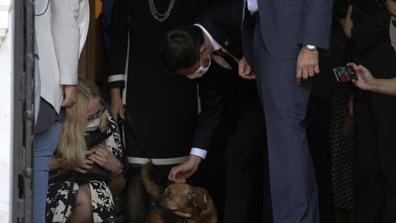 പ്രധാനമന്ത്രിയുടെ വാര്‍ത്താ സമ്മേളനത്തിലേക്ക് അപ്രതീക്ഷിതമായി ഒരതിഥി, പിന്നെ നടന്നത്!