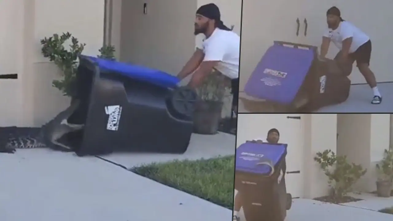 Man traps crocodile in trash can; bizarre video goes viral