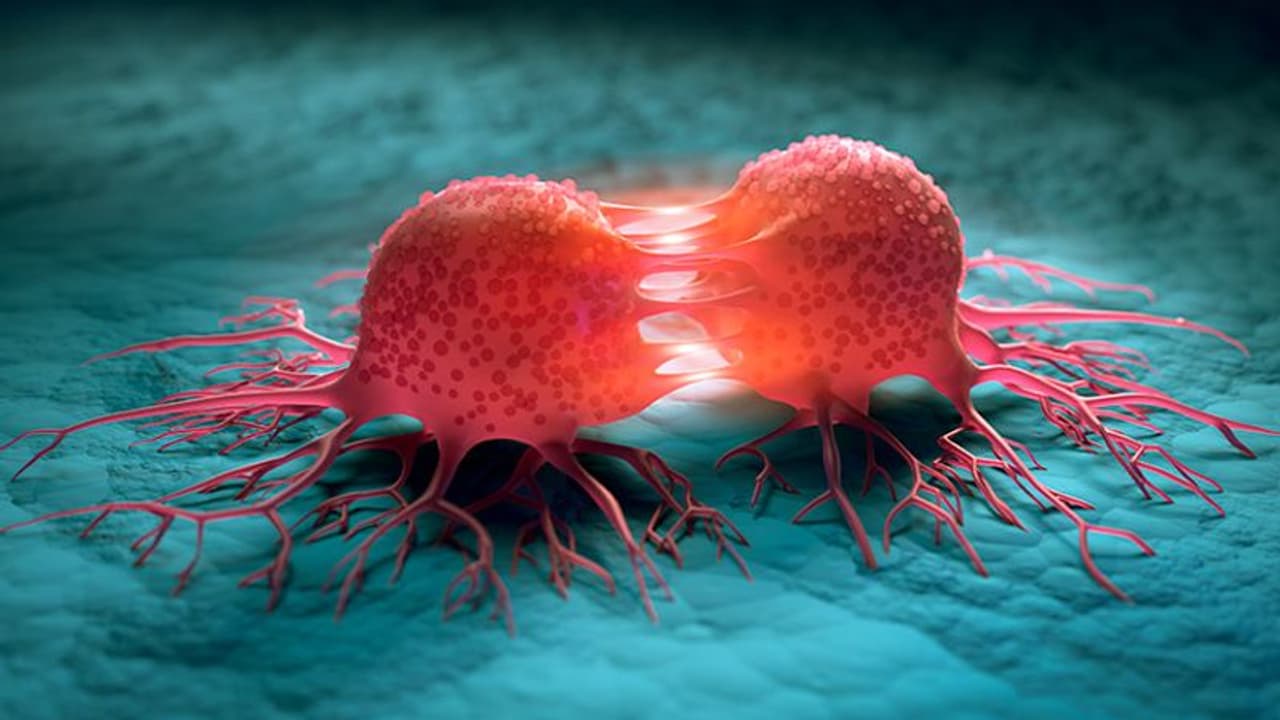 ഈ മൂന്ന് ഭക്ഷണങ്ങൾ കാൻസർ സാധ്യത വർദ്ധിപ്പിക്കാം ഈ മൂന്ന് ഭക്ഷണങ്ങൾ കാൻസർ സാധ്യത വർദ്ധിപ്പിക്കാം