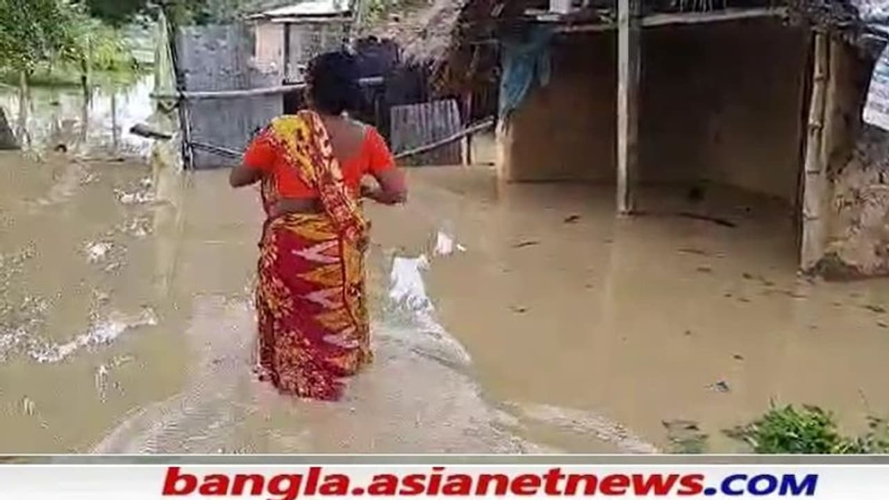 Flood: বিপদসীমার ওপরে নদীর জল, প্লাবিত গ্রামের পর গ্রাম, বন্যা পরিস্থিতি পূর্ব বর্ধমানে Flood: বিপদসীমার ওপরে নদীর জল, প্লাবিত গ্রামের পর গ্রাম, বন্যা পরিস্থিতি পূর্ব বর্ধমানে