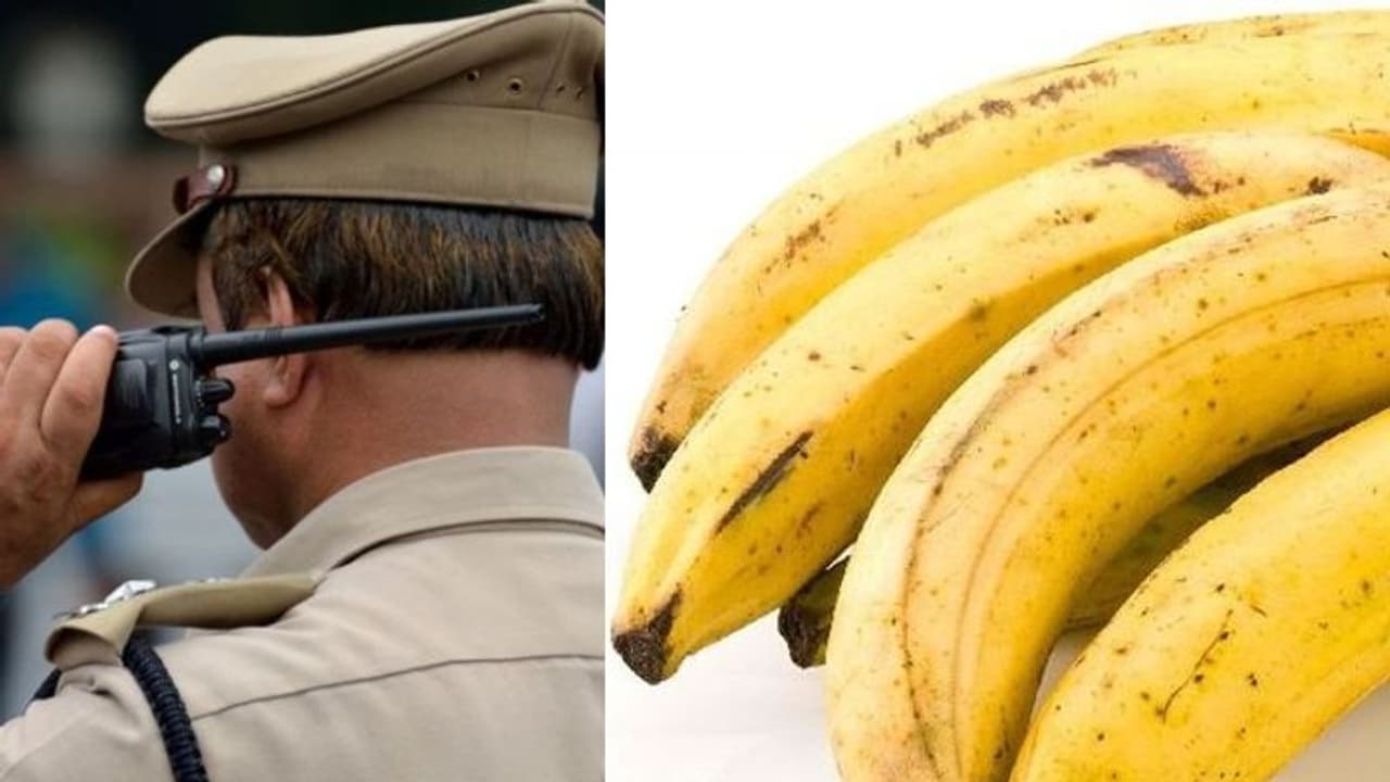 ലക്ഷങ്ങളുടെ വാഴക്കുലയാണ് തൊണ്ടിമുതൽ, 'തൊണ്ടി' പൊലീസ് സുക്ഷിക്കുമോ? നടപടിക്രമങ്ങൾ ഇങ്ങനെ ലക്ഷങ്ങളുടെ വാഴക്കുലയാണ് തൊണ്ടിമുതൽ, 'തൊണ്ടി' പൊലീസ് സുക്ഷിക്കുമോ? നടപടിക്രമങ്ങൾ ഇങ്ങനെ