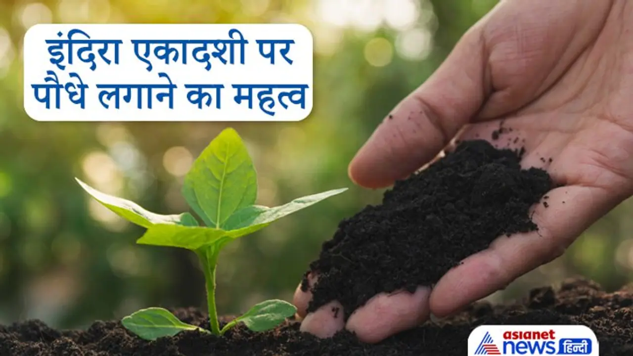 आज इंदिरा एकादशी पर लगाएं पौधे, प्रसन्न होंगे पितृ और बनी रहेगा देवताओं का आशीर्वाद