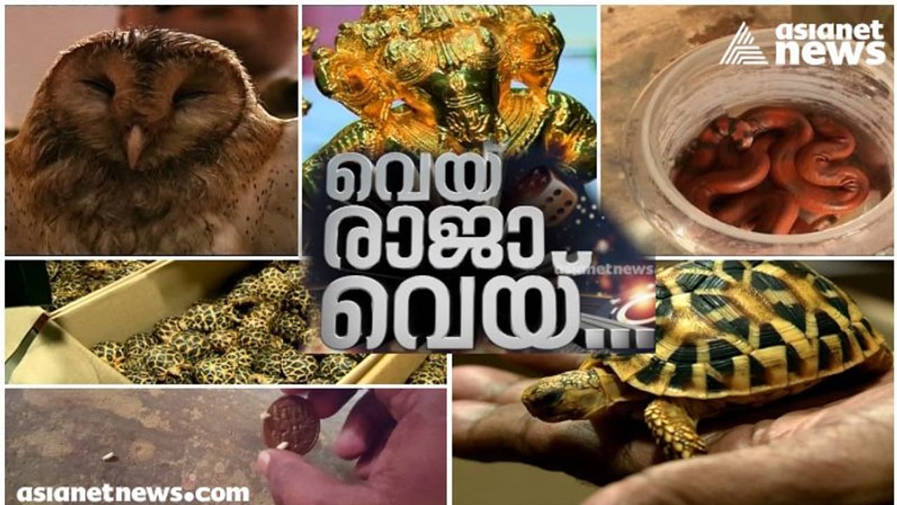 അമൂല്യ വസ്തുക്കളുടെ പേരിലുള്ള തട്ടിപ്പുകൾ തുടർക്കഥ; അഞ്ച് വര്ഷത്തിനിടെ 818 കേസ്, തട്ടിച്ചത് നൂറ് കോടിയോളം അമൂല്യ വസ്തുക്കളുടെ പേരിലുള്ള തട്ടിപ്പുകൾ തുടർക്കഥ; അഞ്ച് വര്ഷത്തിനിടെ 818 കേസ്, തട്ടിച്ചത് നൂറ് കോടിയോളം