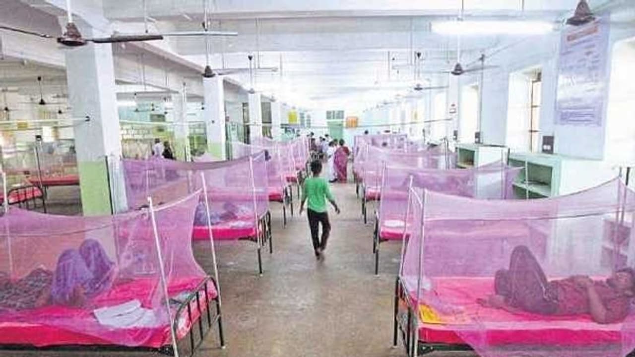 ചാന്ദിപുര വൈറസ് ബാധയെന്ന് സംശയം, ഗുജറാത്തിൽ നാല് കുട്ടികൾ മരിച്ചു, രണ്ട് പേർ ചികിത്സയിൽ ചാന്ദിപുര വൈറസ് ബാധയെന്ന് സംശയം, ഗുജറാത്തിൽ നാല് കുട്ടികൾ മരിച്ചു, രണ്ട് പേർ ചികിത്സയിൽ