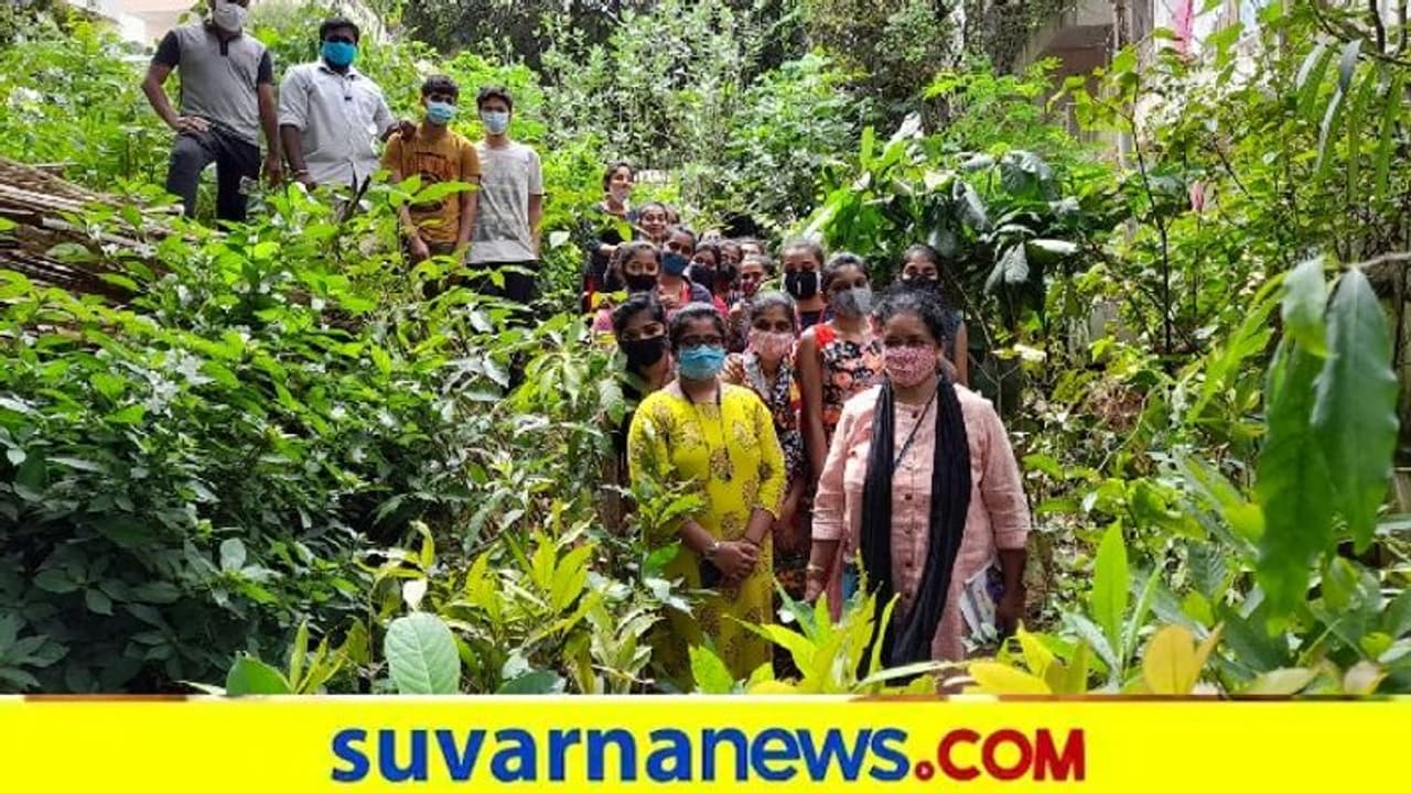 ಅದಮ್ಯ ಚೇತನ ಸಂಸ್ಥೆಯಿಂದ 301ನೇ ಹಸಿರು ಭಾನುವಾರ ಆಚರಣೆ ಅದಮ್ಯ ಚೇತನ ಸಂಸ್ಥೆಯಿಂದ 301ನೇ ಹಸಿರು ಭಾನುವಾರ ಆಚರಣೆ