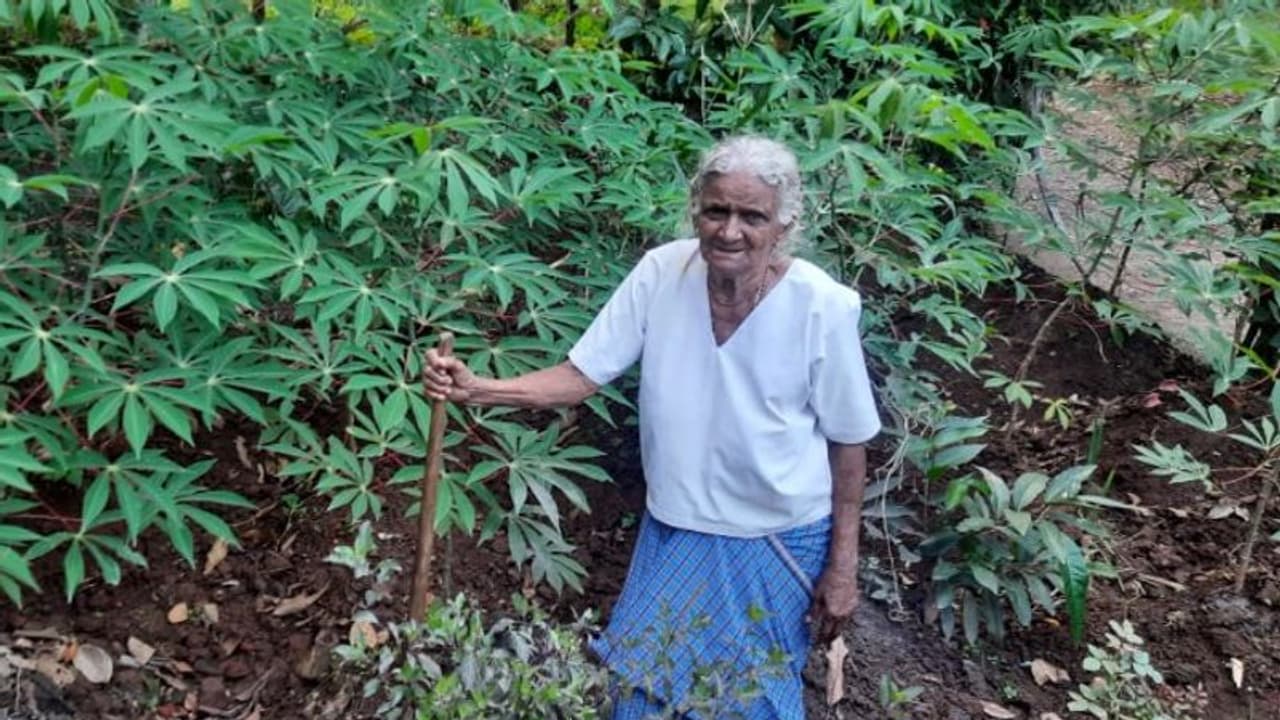 പ്രിയതമന്റെ ഓര്‍മ്മയില്‍ 90 ാം വയസ്സിലും കൃഷിയിടത്തിലിറങ്ങി മേരി