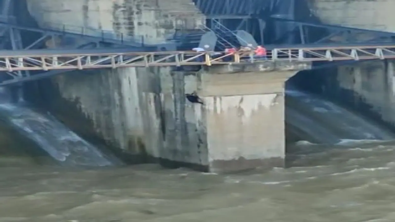 ఒకడి సెల్ఫీ మోజుకు మరో యువకుడు బలి... సింగూర్ ప్రాజెక్ట్ వద్ద దారుణం