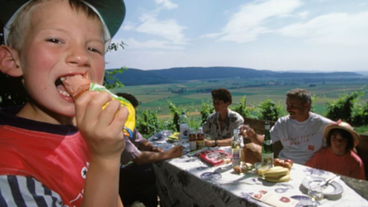 ऐसा क्या हुआ को बच्चों को नॉनवेज खाता देख भड़क गई मां, गुस्से में दाई पर कर दिया केस, मांगा मुआवजा ऐसा क्या हुआ को बच्चों को नॉनवेज खाता देख भड़क गई मां, गुस्से में दाई पर कर दिया केस, मांगा मुआवजा