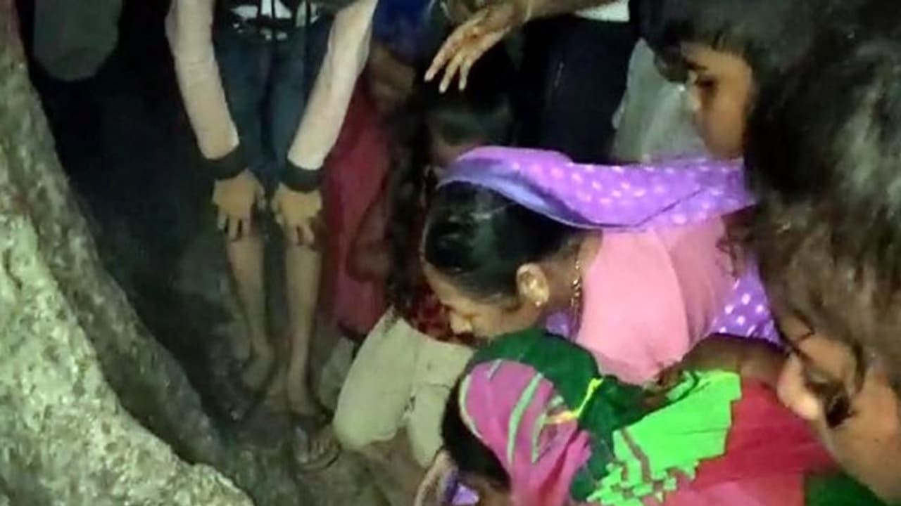 जब अचानक पेड़ से निकली भगवान की आकृति, चमत्कार जान पूजने लगे लोग..उमड़ रही भीड़ जब अचानक पेड़ से निकली भगवान की आकृति, चमत्कार जान पूजने लगे लोग..उमड़ रही भीड़