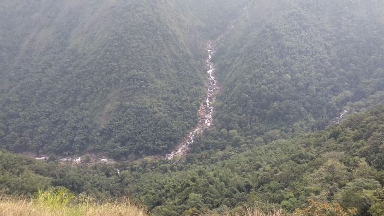 കാട്ടില് പ്രവേശിച്ച യുവാക്കളുടെ പേരില് കേസ്; ആറംഗസംഘം എത്തിയത് കാട്ടില് അതിദുര്ഘട പ്രദേശത്ത് കാട്ടില് പ്രവേശിച്ച യുവാക്കളുടെ പേരില് കേസ്; ആറംഗസംഘം എത്തിയത് കാട്ടില് അതിദുര്ഘട പ്രദേശത്ത്