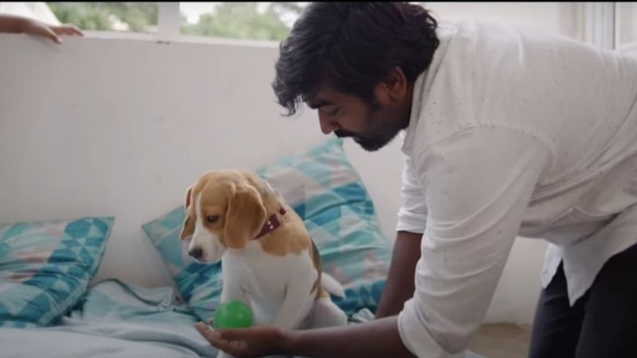 വിജയ് സേതുപതിക്കൊപ്പം 'സ്കൂബി'; ഒരു മണിക്കൂര് ചിത്രം 'മുഗിഴി'ന്റെ ടീസര് വിജയ് സേതുപതിക്കൊപ്പം 'സ്കൂബി'; ഒരു മണിക്കൂര് ചിത്രം 'മുഗിഴി'ന്റെ ടീസര്