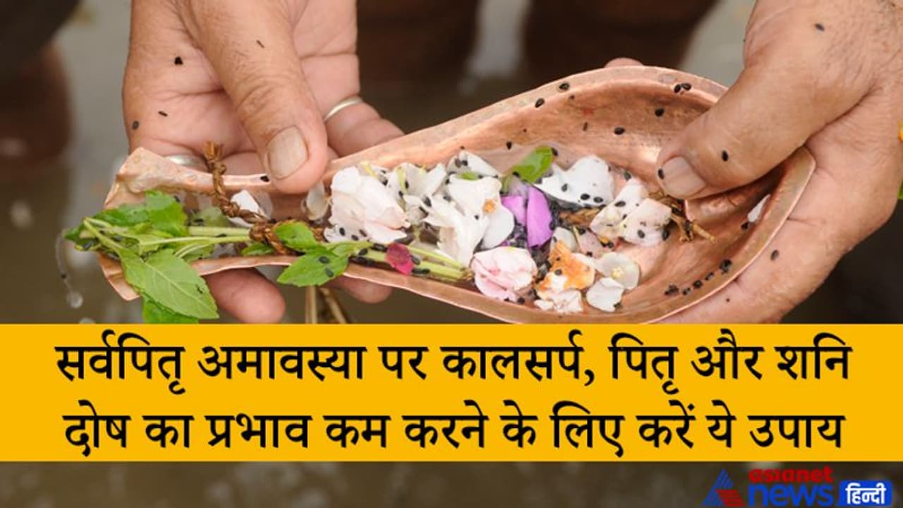 आज सर्वपितृ अमावस्या पर करें ये 3 उपाय, इससे कम हो सकता है कालसर्प, पितृ और शनि दोष का प्रभाव