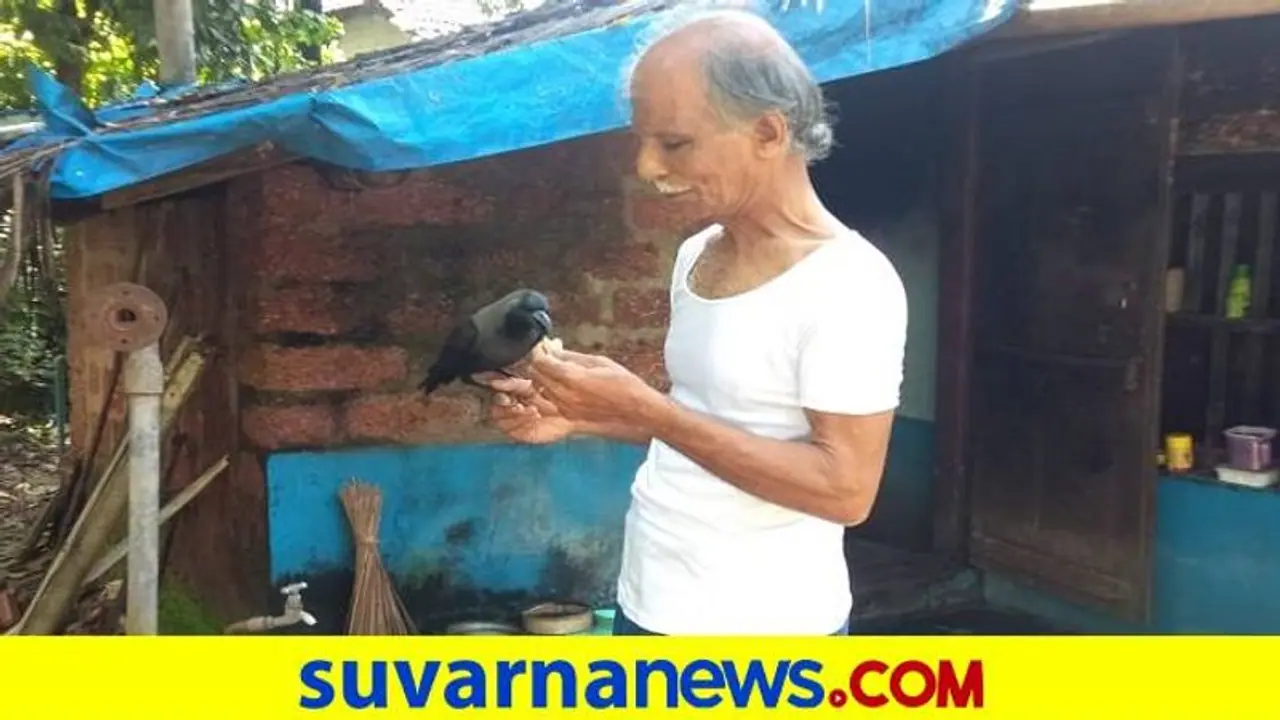 ಅಂಕೋಲಾ: ಕರೆದಾಗಲೆಲ್ಲ ಬಂದು ಕೈಮೇಲೇರುವ ಕಾಕ, ಮಾನವನ ಜತೆ ಕಾಗೆ ಫ್ರೆಂಡ್ಶಿಪ್..! ಅಂಕೋಲಾ: ಕರೆದಾಗಲೆಲ್ಲ ಬಂದು ಕೈಮೇಲೇರುವ ಕಾಕ, ಮಾನವನ ಜತೆ ಕಾಗೆ ಫ್ರೆಂಡ್ಶಿಪ್..!