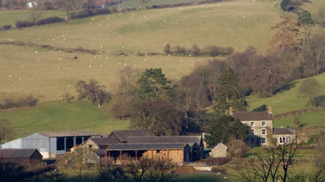 वेल्स में खूबसूरत पहाड़ नदी के बीच सिर्फ 35 लाख रु का घर, लेकिन एक कमी से कोई नहीं खरीद रहा वेल्स में खूबसूरत पहाड़ नदी के बीच सिर्फ 35 लाख रु का घर, लेकिन एक कमी से कोई नहीं खरीद रहा