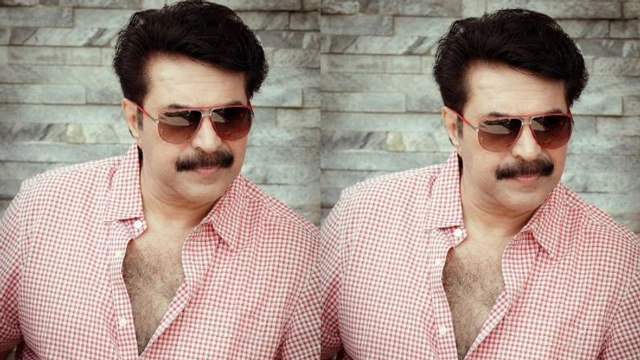 പുത്തൻ ഫോട്ടോയുമായി മമ്മൂട്ടി; ഏറ്റെടുത്ത് താരങ്ങളും, 'മമ്മൂസേ'ന്ന് വിളിച്ച് ജനാർദ്ദനൻ പുത്തൻ ഫോട്ടോയുമായി മമ്മൂട്ടി; ഏറ്റെടുത്ത് താരങ്ങളും, 'മമ്മൂസേ'ന്ന് വിളിച്ച് ജനാർദ്ദനൻ