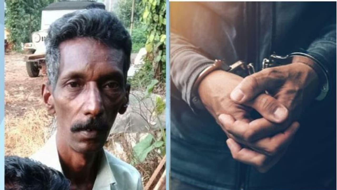 മാങ്കുളം ശേവല്‍കുടി മധ്യവയസ്കന്റെ കൊലപാതകം: പ്രതിയെ എത്തിച്ച് തെളിവെടുത്തു