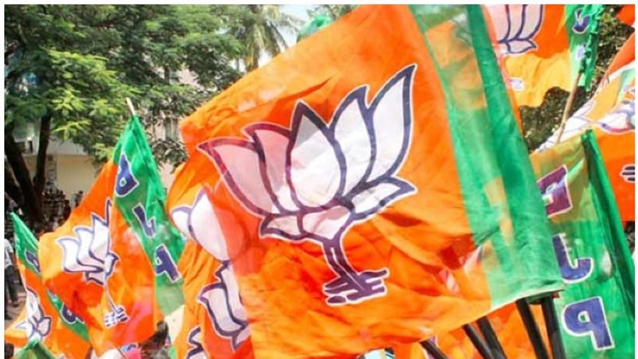 ಎರಡೂ ಉಪಚುನಾವಣೆ ಕ್ಷೇತ್ರಗಳಲ್ಲಿ ಬಿಜೆಪಿ ಅಭ್ಯರ್ಥಿಗಳು ಗೆಲುವು