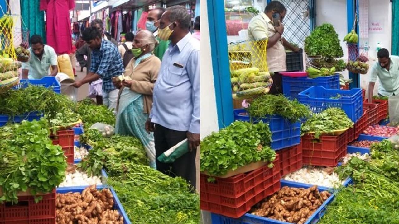 ചീരയാണ് സാറേ മെയിൻ... പത്തിനം ചീരകൾ മൂന്നാർ വിപണിയിലെത്തിച്ച് വ്യാപാരി