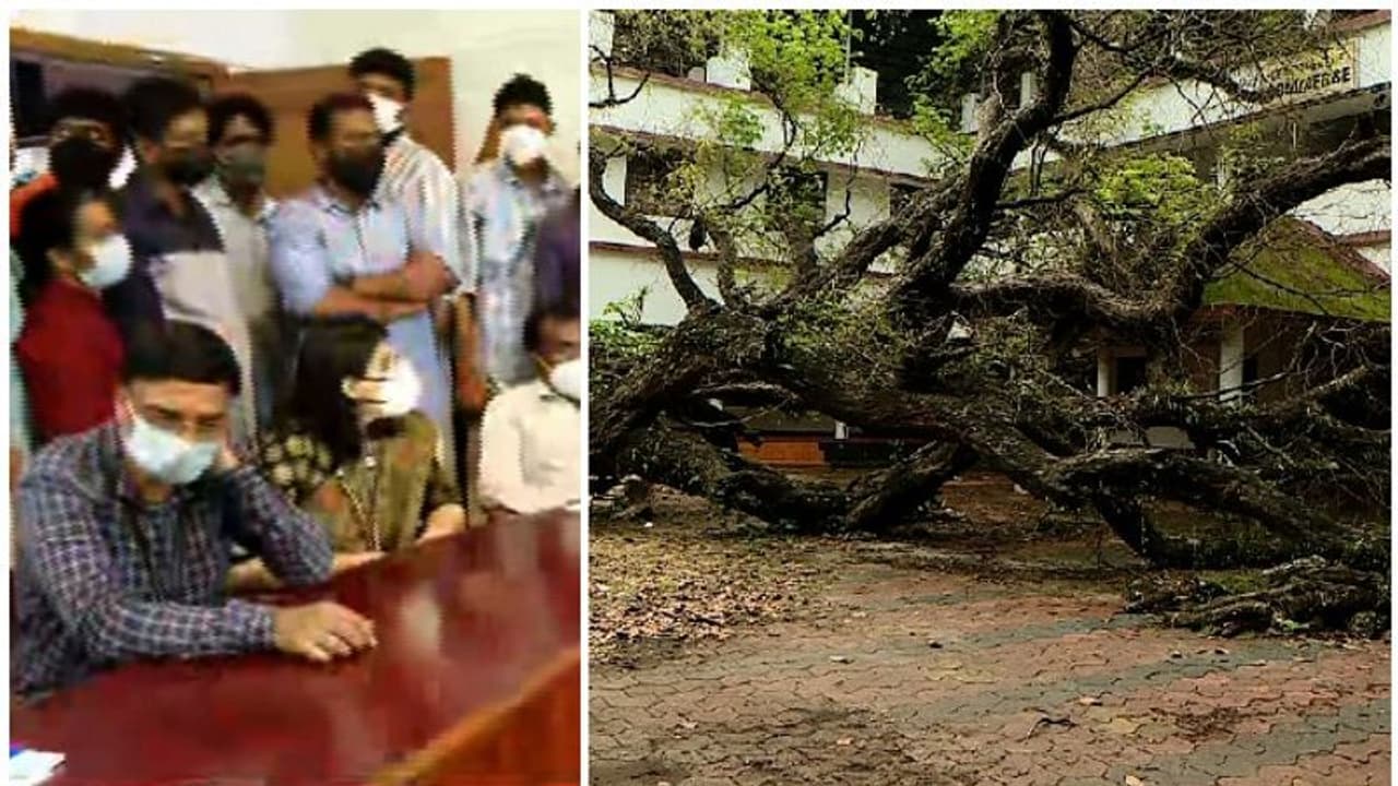 മഹാരാജാസ് കോളേജിലെ മരംമുറി; അന്വേഷണ കമ്മീഷനെ നിയോഗിച്ചു