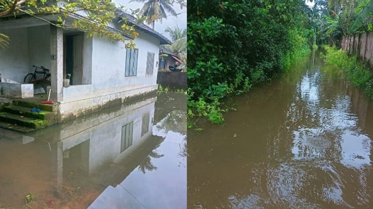അപ്പർകുട്ടനാട്ടിലെ താഴ്ന്ന പ്രദേശങ്ങളെല്ലാം വെള്ളപ്പൊക്ക ഭീഷണിയിൽ അപ്പർകുട്ടനാട്ടിലെ താഴ്ന്ന പ്രദേശങ്ങളെല്ലാം വെള്ളപ്പൊക്ക ഭീഷണിയിൽ