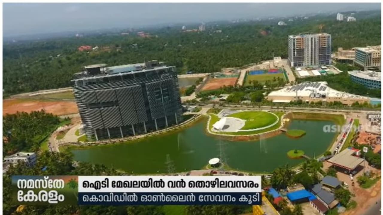 വൻ തൊഴിലവസരങ്ങളുമായി ഐടി മേഖല; 60 ശതമാനം വർദ്ധനവ്, നടപ്പ് സാമ്പത്തികവർഷത്തിൽ ഒന്നരലക്ഷം നിയമനങ്ങൾ വൻ തൊഴിലവസരങ്ങളുമായി ഐടി മേഖല; 60 ശതമാനം വർദ്ധനവ്, നടപ്പ് സാമ്പത്തികവർഷത്തിൽ ഒന്നരലക്ഷം നിയമനങ്ങൾ